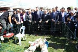 AKM KARS-ARDAHAN-IĞDIR TANITIM GÜNLERİ