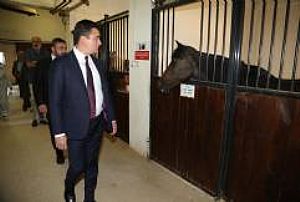 AK PARTİ GENEL MERKEZ TEŞKİLAT BAŞKANLIĞI TÜRKİYE BULUŞMALARI PROGRAMI KONYA