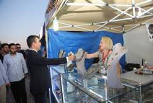 ÇUBUK TURŞU FESTİVALİ