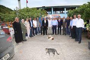 TÜRKİYE BULUŞMALARI KASTAMONU CİDE 