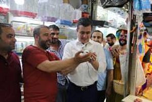 ULUS - ANAFARTALAR - HAL