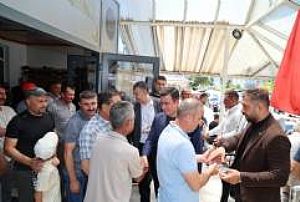 BEYPAZARI