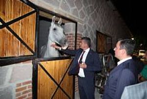 HAYMANA SAKARYA MEYDAN MUHAREBESİ ZAFER YÜRÜYÜŞÜ