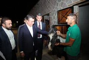 HAYMANA SAKARYA MEYDAN MUHAREBESİ ZAFER YÜRÜYÜŞÜ