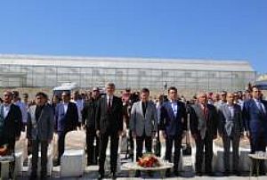 BEYPAZARI HASAT FESTİVALİ