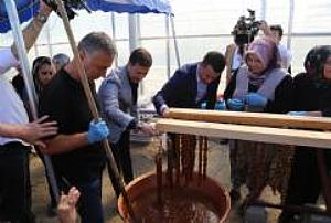 BEYPAZARI HASAT FESTİVALİ