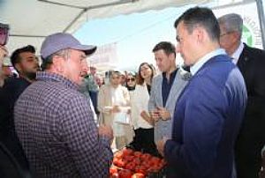 BEYPAZARI HASAT FESTİVALİ