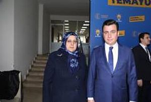 SİVAS AK PARTİ TEMAYÜL YOKLAMASI